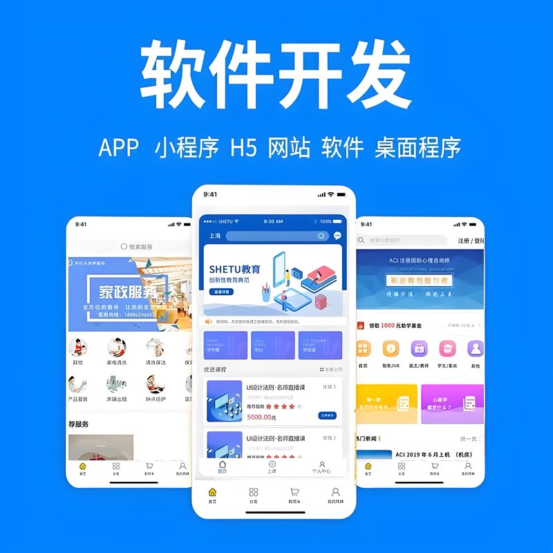 江西软件开发:助力小微企业走向数字化